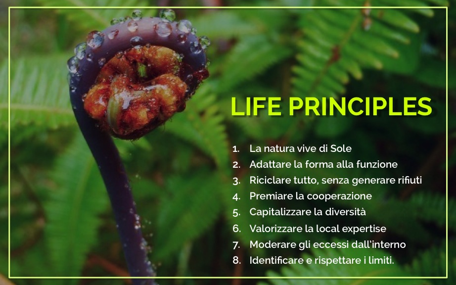 Life-principles-italiano-diana-tedoldi