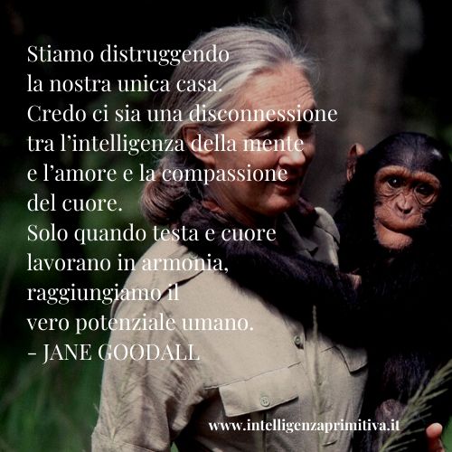 Jane goodall earth day 2020