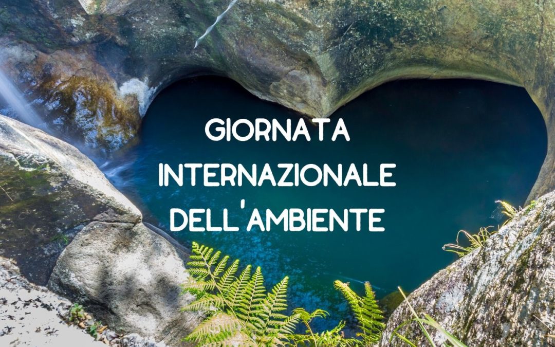 Giornata Internazionale dell’Ambiente e intelligenza ecologica